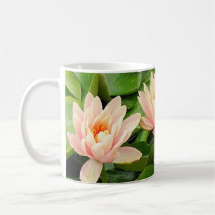 Pink Waterlily Quartet Mug