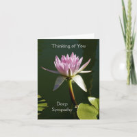Pink Waterlily Sympathy Card