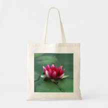 Pink Waterlily