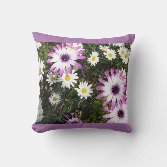 Pink White Daisy Daisies Flower Floral Cushion (Front)