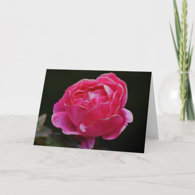 Pink White Edge Rose Floral Note Card (Front)