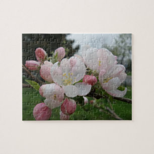 Pink White Flower Jigsaw Puzzle