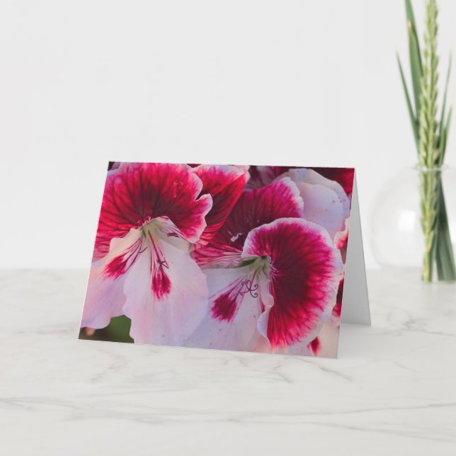 Pink & White Flowers Blank Notecard (Front)