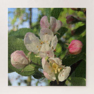 pink, white flowers of an apple tree in spring jigsaw puzzle