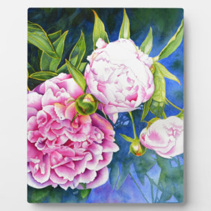 Pink white peony painting   romantic floral plaque
