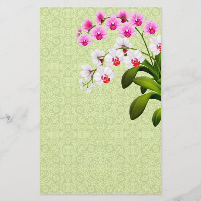 Pink White Phalaenopsis Orchid Flowers Stationery (Front)