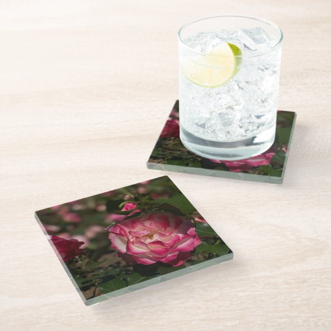 Pink & White Rose Glass Coaster (Angled)