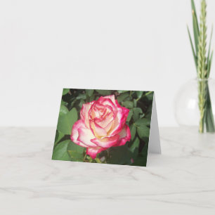 Pink & White Rose Photo Folded Note Card