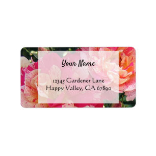 Pink White Roses Editable Address Labels