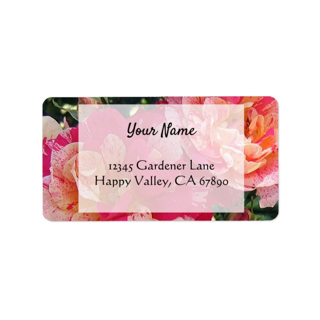 Pink White Roses Editable Address Labels (Front)