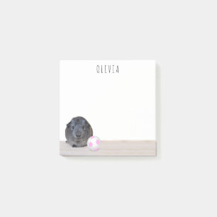 Pink White Soccer Ball Guinea Pig Back To School Post-it Notes