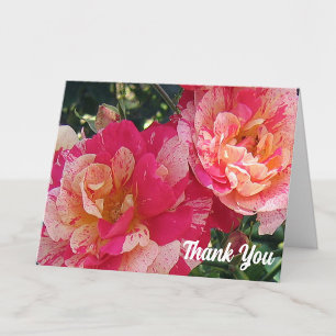 Pink White Striped Roses 4" x 5.6" Thank You Card