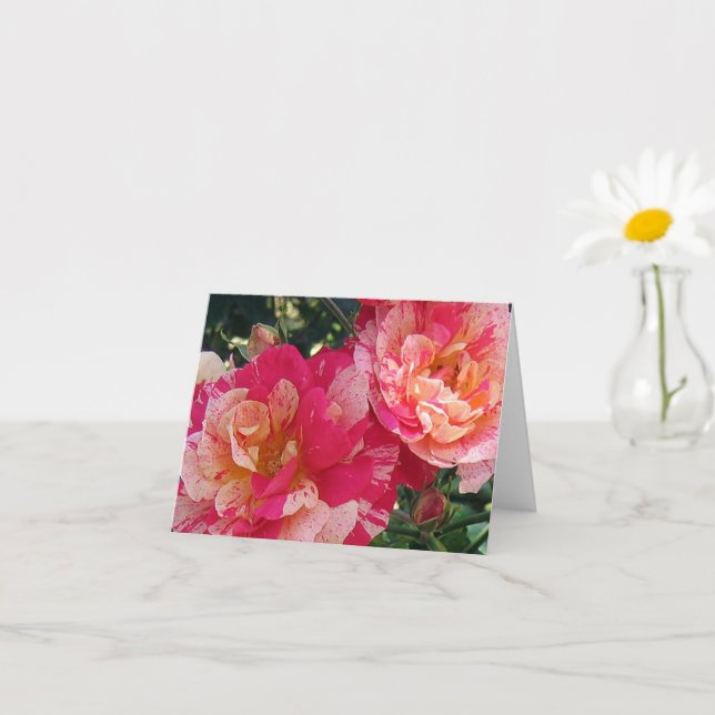Pink White Striped Roses Blank Photo Art Note Card (Small Plant)