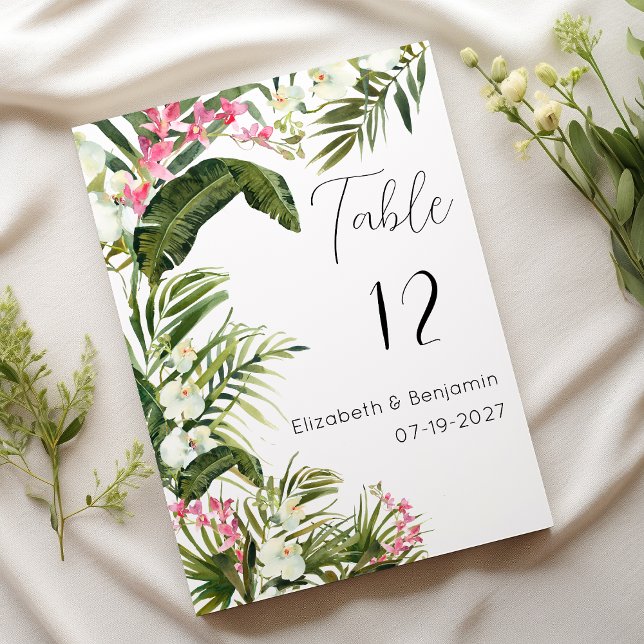 Pink white tropical orchid flowers Table Numbers (Pink white tropical orchid flowers Table Numbers)
