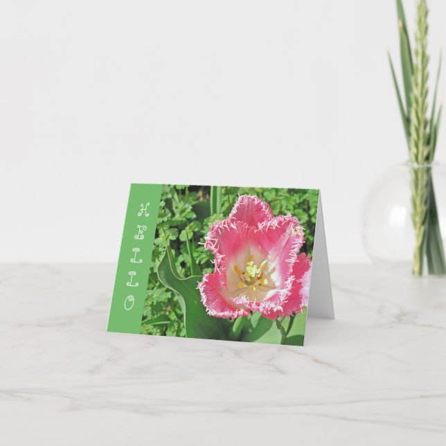 "PINK & WHITE TULIP WITH FRINGE / HELLO" CARD (Front)
