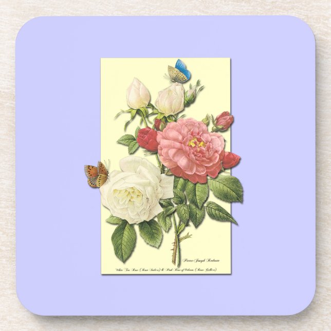 Pink White Vintage Botanical Roses Coaster (Front)