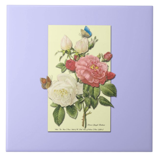 Pink White Vintage Botanical Roses Tile (Front)