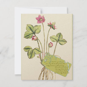 Pink Wild Flower Botanical  Dinner Invitations