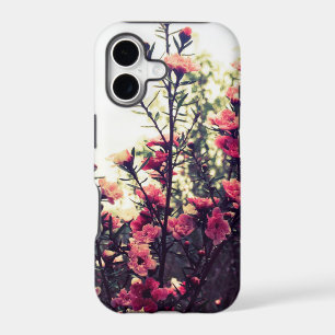 Pink Wild Flowers Meadow Photo