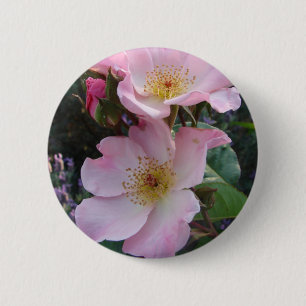Pink Wild Rose Flower floral Photo 6 Cm Round Badge