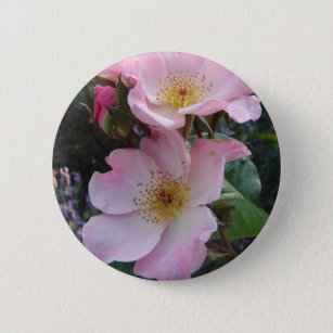 Pink Wild Rose Flower floral Photo 6 Cm Round Badge