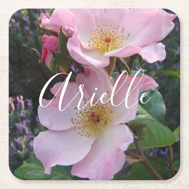 Pink Wild Rose Flower floral Photo Blush Pink  Square Paper Coaster (Front)