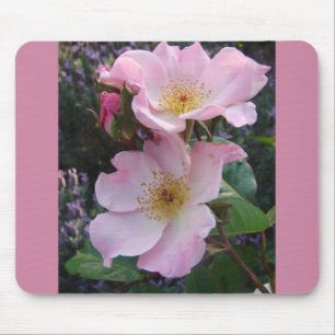 Pink Wild Rose Flower floral Photo Mouse Mat