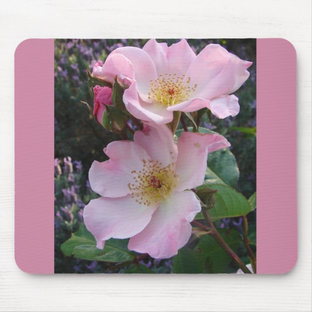 Pink Wild Rose Flower floral Photo Mouse Mat (Front)
