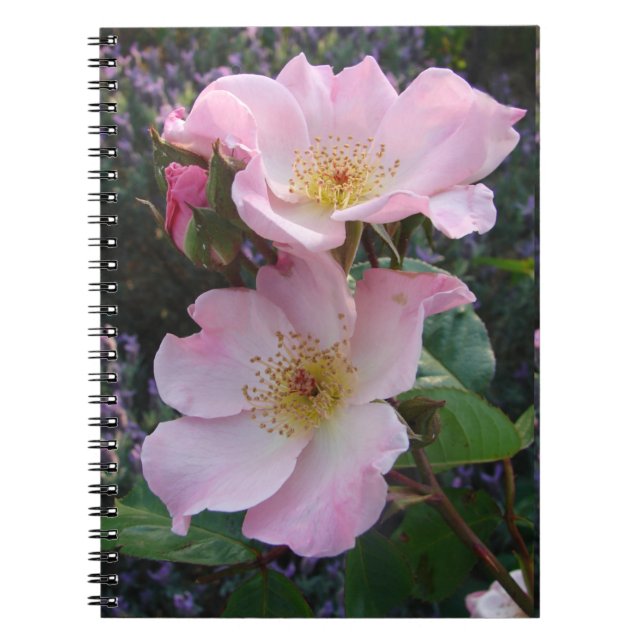 Pink Wild Rose Flower floral Photo Mum Mothers Day Notebook (Front)
