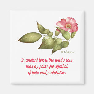 Pink wild rose with saying magnet