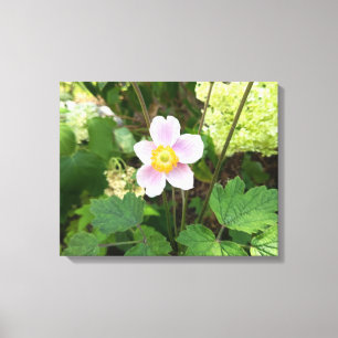 Pink Wildflower Canvas Print Botanical Floral Wa