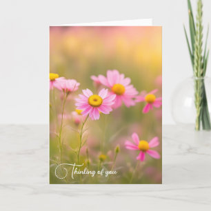 Pink Wildflower Daisies In a Field Card