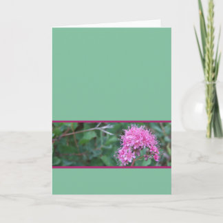 Pink Wildflower Greeting Card