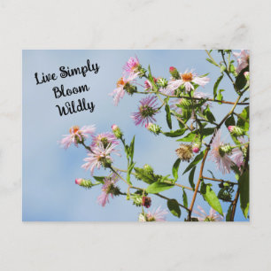 Pink Wildflower on Blue Quote Postcard