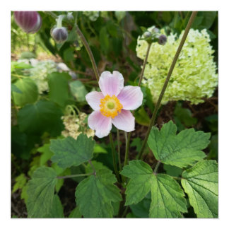 Pink Wildflower Wall Sign | Botanical Floral Home