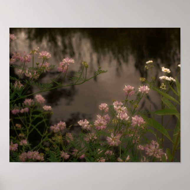 Pink Wildflowers By Stream Photo Art Poster (Front)