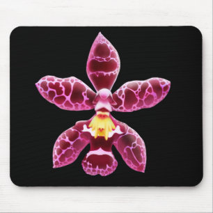 Pink Wilsonara Orchid Flower Mouse Mat