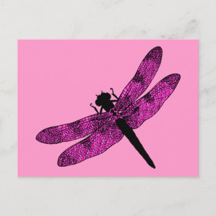 Pink Winged Dragonfly Postcard