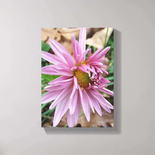 Pink Wink! Canvas Print (Front)