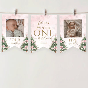 Pink Winter Onederland 1st Birthday Monthly Photo Bunting