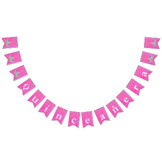 Pink with Silver Crowns Quinceañera Bunting