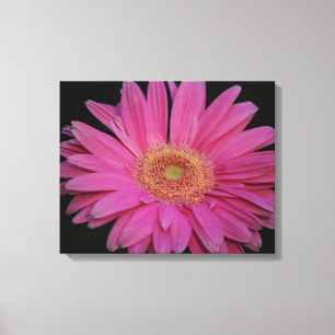 Pink Wrapped Canvas