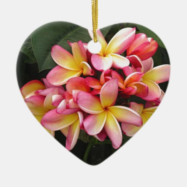 Pink, Yellow and Red Plumeria Flowers Ceramic Tree Decoration (Front)