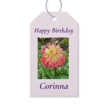 Pink & Yellow Dahlia