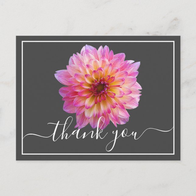 Pink Yellow Dahlia Grey Background Thank You Postcard (Front)