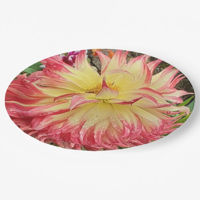 Pink & Yellow Dahlia  Paper Plate (Angled)