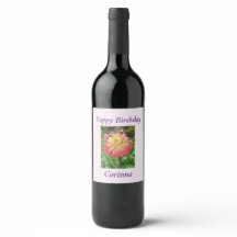 Pink & Yellow Dahlia