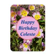 Pink & Yellow Flowers Birthday