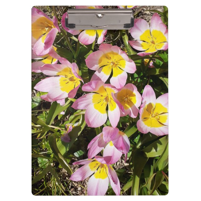Pink & Yellow Flowers  Clipboard (Front)
