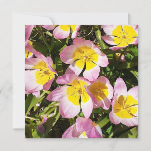 Pink & Yellow Flowers Flat Greeting Card